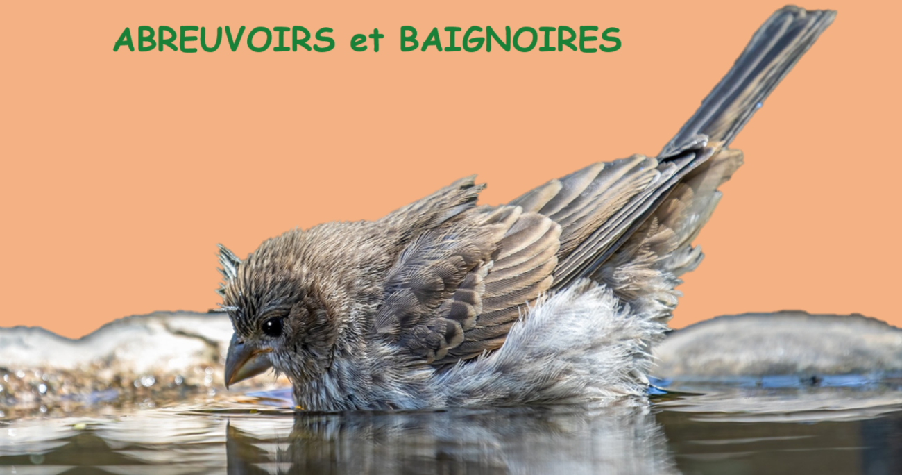 ABREUVOIRS et BAIGNOIRES MONEAU