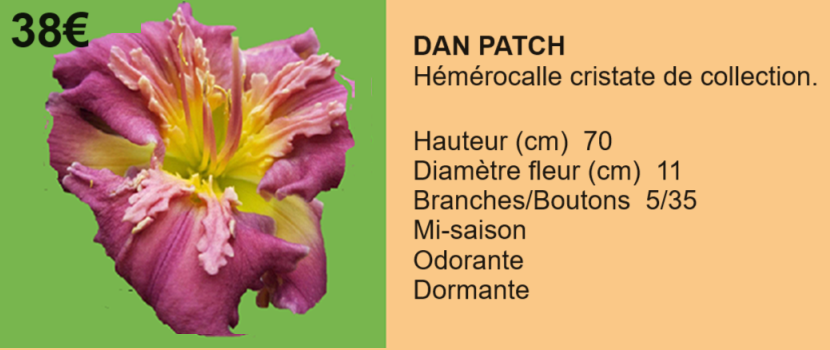 DAN PATCH