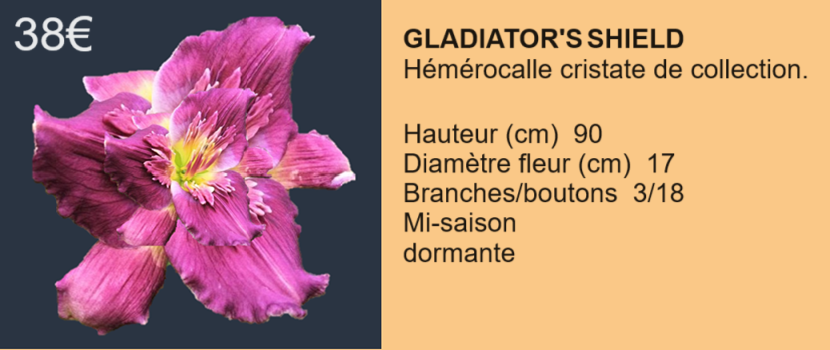 GLADIATORS SHIELD