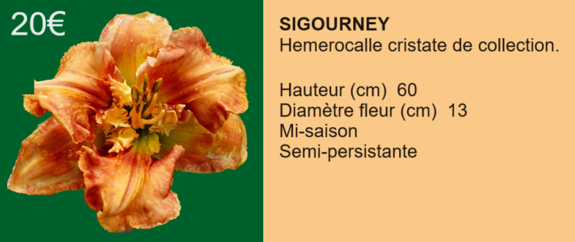 SIGOURNEY