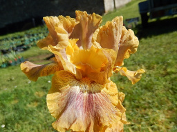 touch_of_tuscany_2